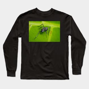 Unique and organic photo of an ant mimic spider cleaning its chelicerae Long Sleeve T-Shirt